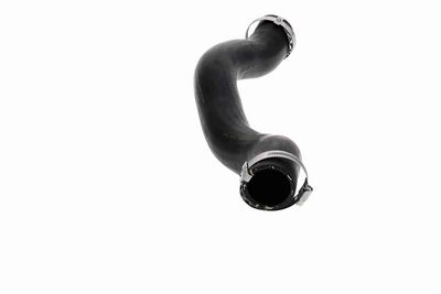 LADELUFTSCHLAUCH VAICO V950611 5