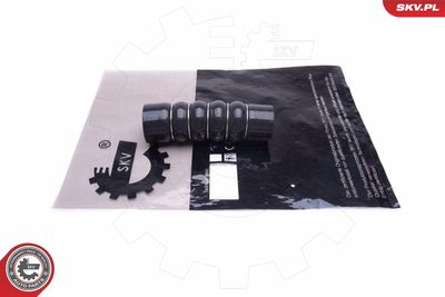 FURTUN EAR SUPRAALIMENTARE