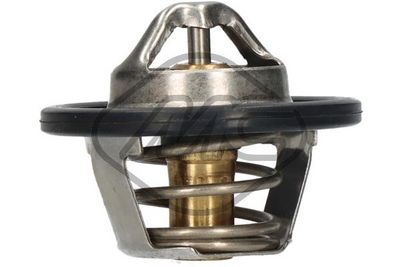 TERMOSTAT LICHID RACIRE