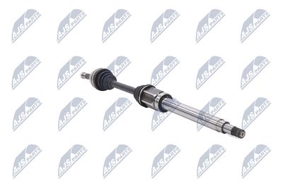 PLANETARA NTY NPWFR056 31