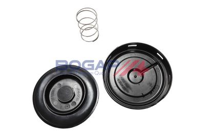 VENTIL AERISIRE CARTER BOGAP A1116105 4