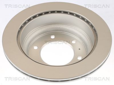 DISC FRANA TRISCAN 812010181C 1