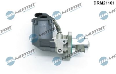 SUPAPA EGR Dr.Motor Automotive DRM21101 1