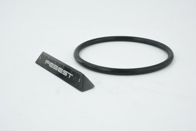 ETANșARE CARCASă CLAPETă FEBEST RINGAH010 9