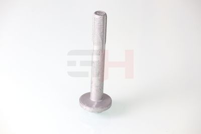 SURUB CORECTARE INCLINARE GH GH391592 12