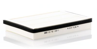 Filter, Innenraumluft
