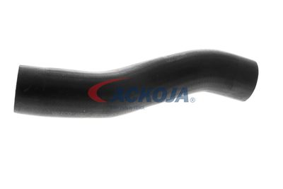 FURTUN EAR SUPRAALIMENTARE ACKOJA A529600 57