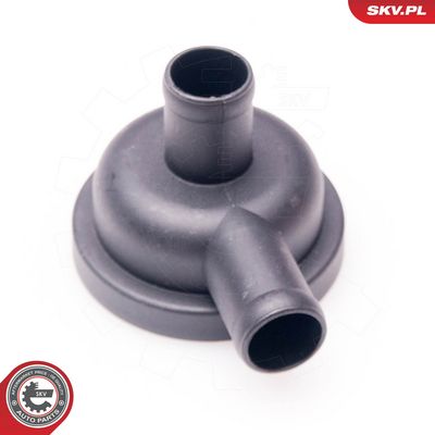 Vožtuvas, variklio bloko alsuoklis