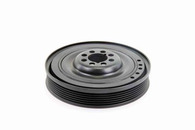 FULIE CUREA ARBORE COTIT VAICO V104344 2