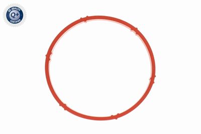 CARCASA CLAPETA ACKOJA A52810018 3