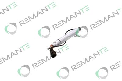INJECTOR REMANTE 002003002431R 5
