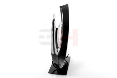 PROTECTIE STROPIRE DISC FRANA GH GH484772V 16