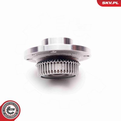 SET RULMENT ROATA ESEN SKV 29SKV012 2