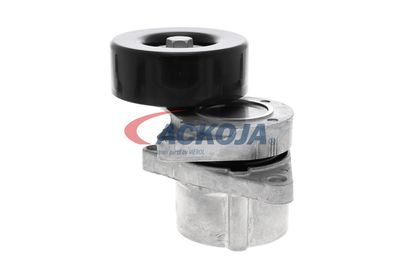 INTINZATOR CUREA CUREA DISTRIBUTIE ACKOJA A380332 17