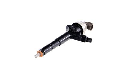 INJECTOR REMANTE 002003000192R 62