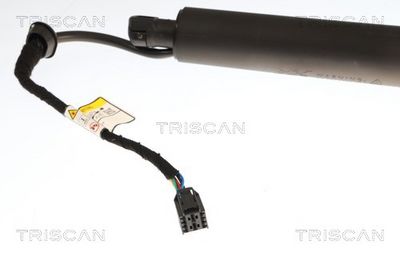 Plynárenská vzpera (pneumatická pružina), zavazadlový priestor TRISCAN 8710 43317