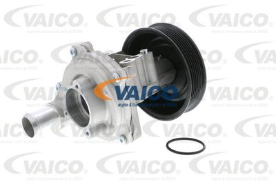 VAICO V25-50022 Помпа (водяной насос)  для FORD RANGER (Форд Рангер)