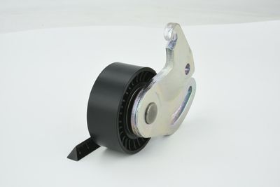 ROLA INTINZATOR CUREA TRANSMISIE FEBEST 2487MEGII 19