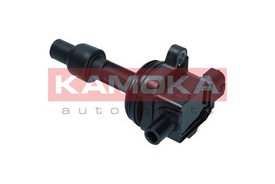Ignition Coil 7120037