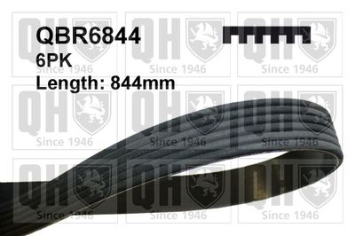 Поликлиновой ремень QUINTON HAZELL QBR6844 для VW CRAFTER