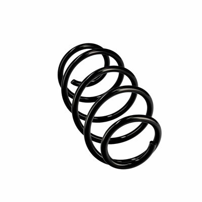 ARC SPIRAL EIBACH R10569 12