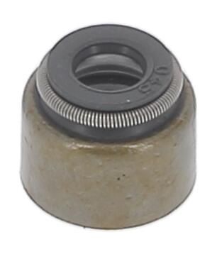 DICHTRING VENTILSCHAFT