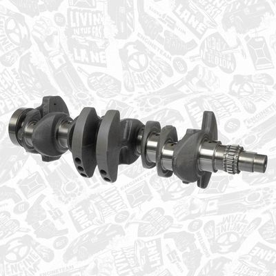 ARBORE COTIT ET ENGINETEAM HK0190VR1 1