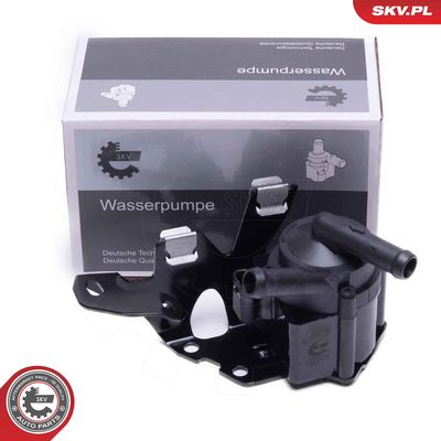Auxiliary Water Pump (cooling water circuit) 22SKV036