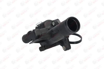 FLANSA LICHID RACIRE BIRTH 81036 3