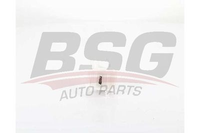 Топливный фильтр BSG BSG 40-130-024 для HYUNDAI SOLARIS