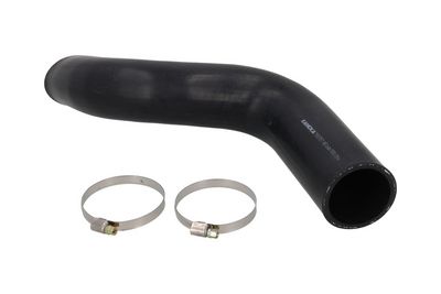 FURTUN EAR SUPRAALIMENTARE