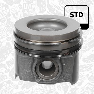 PISTON ET ENGINETEAM PM013000 1