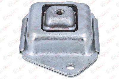 BUCSA PUNTE BIRTH 53920 10