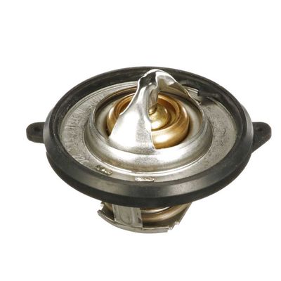 TERMOSTAT LICHID RACIRE GATES TH73954G1 46