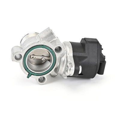 AGR-VENTIL DELPHI EG1072812B1 13