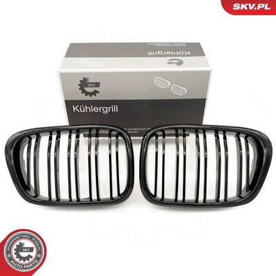 GRILA RADIATOR ESEN SKV 66SKV161 9