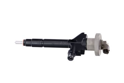 INJECTOR REMANTE 002003000191R 13