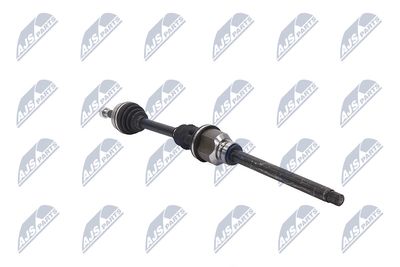 PLANETARA NTY NPWCT155 29