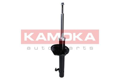 Shock Absorber 2000280