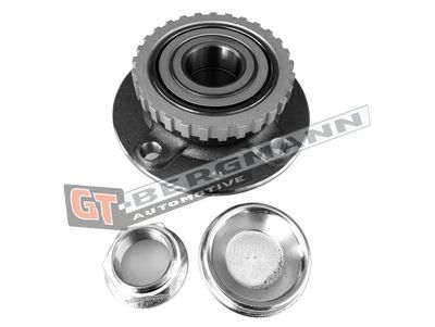 GT-BERGMANN Automotive Rato guolio komplektas