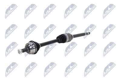 PLANETARA NTY NPWCT181 19