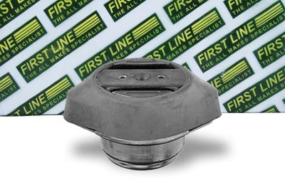 окачване, двигател FIRST LINE FEM4072