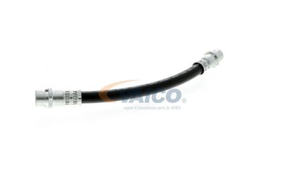 FURTUN FRANA VAICO V104136 31