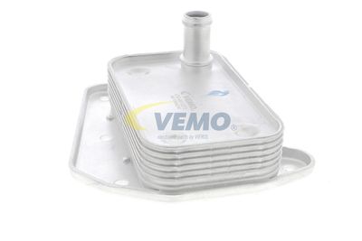 RADIATOR ULEI ULEI MOTOR VEMO V30601273 22