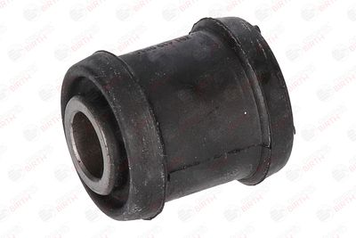 BUCSA ARBORE DE DIRECTIE BIRTH 4817 6