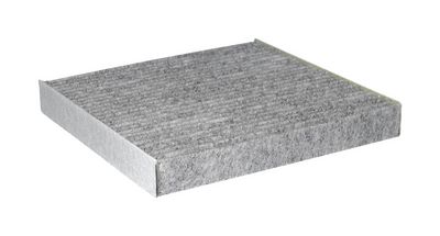 CHAMPION Filtras, salono oras