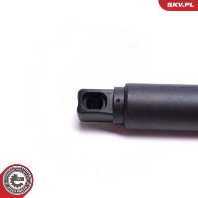 ESEN SKV Galinių durų elektros variklis