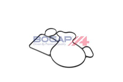 POMPă DE APă RăCIRE MOTOR BOGAP B4234145 5