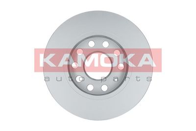 Brake Disc 1032552