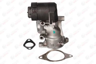 SUPAPA EGR BIRTH 90059 10